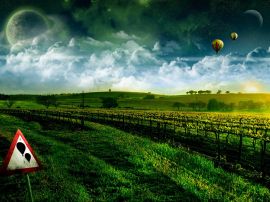 Balloons over fields Wallpaper