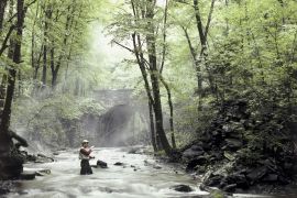 Fishing in the river Wallpaper