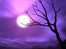 Purple sky Wallpaper