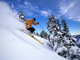 Skiing through snow Wallpaper