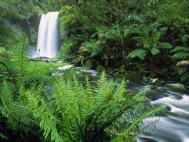 Otway ranges Wallpaper