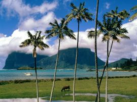 lord howe island Обои