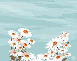 White flowers and sky Wallpaper