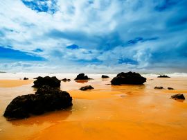 Rocks on the  beach Wallpaper