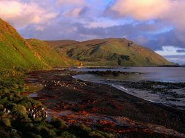 Sandy Bay at dawn Wallpaper